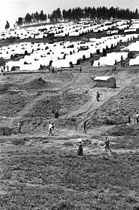 Between two blendays, all across the hillside, small pits are dug into the dirt for cooking fires.